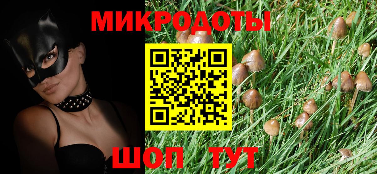 Галлюциногенные грибы Psilocybine cubensis Осинники