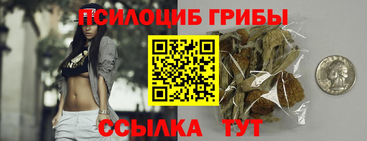 Осинники  Псилоцибиновые грибы Psilocybine cubensis  Вход с VPN 
